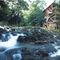 Kingsport Mill