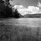 Frozen Lake at Bays Mountain