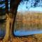 Warrior's Path State Park