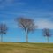 Breckinridge Park, Richardson, Tx