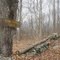 Wildcat Mountain Tom Trail on Prvt Prop