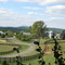 Off route 628 facing north