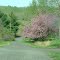 England Mountain Road