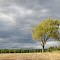 Rain is coming