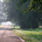 Backroad