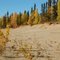 Dunes near Dahl Creek