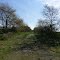 Erie Railroad Bed, looking east