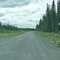 The Nabesna Rd. Begins