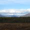 View North From Hobbs Homestead