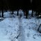 Caribou Migration Trail