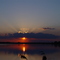 Sonnenuntergang am Großen Teich
