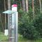 Zivilisation im Wald