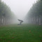 Johannesstift im Nebel verzaubert...