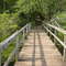 Boardwalk over Marsh