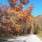 Indiana Dunes