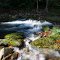 Roaring River State Park