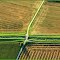 # 29 Agriculture 1