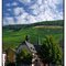 Weinberge an der Mosel  (ohne Schnee für Uli)
