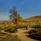 Garten Kloster Machern im Herbst