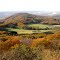 Autumn view to the river Rhine