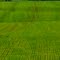 Germany_Mecklenburg_Wredenhagen_rolling fields_P1170870.JPG
