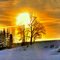 Wintersunn