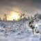 Winter-Inspiration