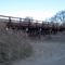 Train bridge