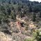 Heavy equipment wreck