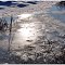 Tauwetterwinterimpression