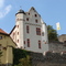 Alzenau, Burg