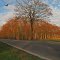 GER Bedburg-Hau Kalkarer Strasse by KWOT