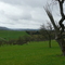 Blick von Gültlingen Richtung Nordschwarzwald