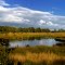 D: Bockhorster Moor
