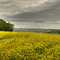 Blick auf Willingshausen / Merzhausen