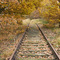 Reise ins Nirgendwo