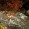 Herbst an der Schwarzach