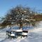Ehrenbürg ("Walberla") im Winter