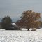 Herbstzeit  mit Alpen