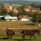 Höchheim