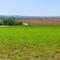Blick von Mendhausen aus ins Rhön-Grabfeld