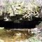 natural bridges