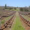 Ironstone Vineyards