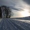 Winterwonderland