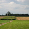 ???-Feld