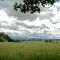 Blick nach Weihenlinden