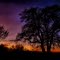 An evening sky like a rainbow.........