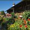 Summer's gardens IV
