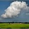 The cloud
