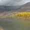 Fall Colors Along the Colorado River sw of Parachute, Colorado, USA